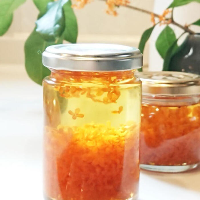 山梨百貨店山梨県産 朝採れ ぶどう ゴロゴロカット 葡萄シロップ漬け つぶつぶ巨峰 大 500g 単品 いちのみやママ工房