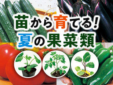 つま野菜旬のもの暦生活日本の季節を楽しむ暮らし