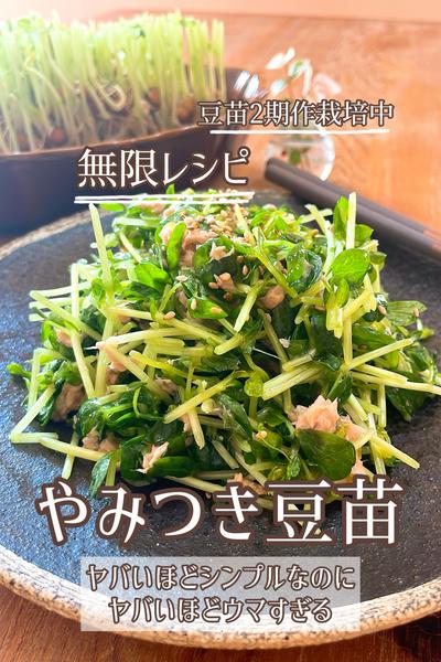 野菜が高くてびっくりしたので、もやしと豆苗の鶏あんかけ丼 - 魚料理と簡単レシピ