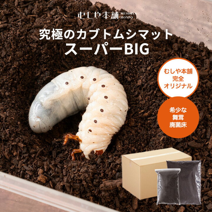 超高カロリー！廃菌床 カブトムシマット「スーパーBIG」10リットル 1袋 スーパービッグ 昆虫マット カブトムシ幼虫のえさ 幼虫餌 えさ 完熟マットLINEブランドカタログ