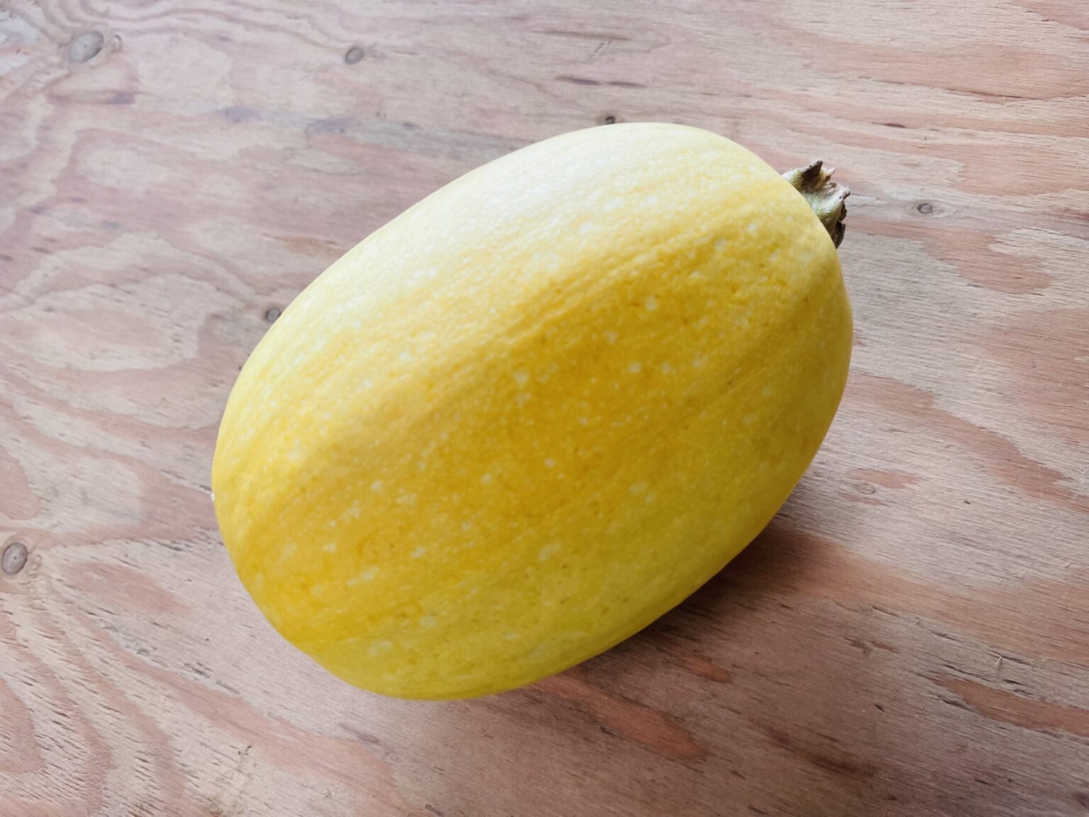 夏が旬！そうめんかぼちゃって知ってる？レシピサイトNadia