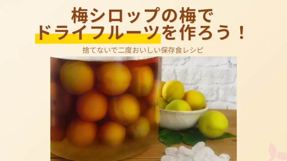 梅酒の実を捨てずに活用 ドライフルーツにしたら美味しかった！ - YouTube