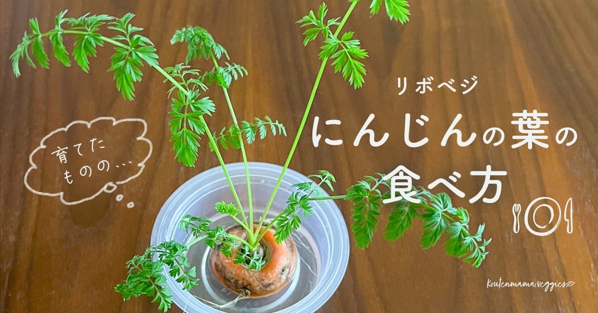 キッチンでSDGs 捨てるはずの野菜の切れ端から葉っぱがニョキニョキ⁉再生野菜「リボべジ」やってみた！『あたらしい日日』こんな時代のニューノーマルな暮らし方。食と農、生活情報をお届けします