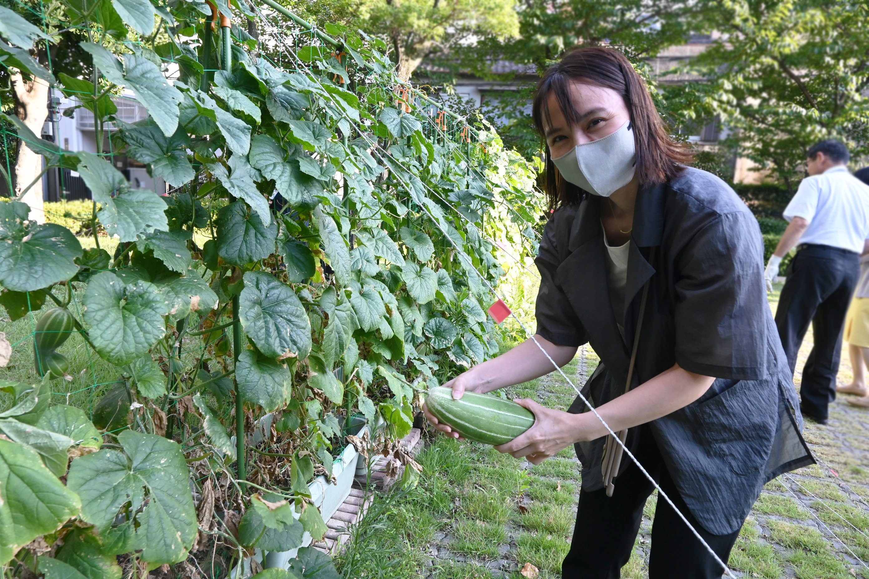 玉造黒門越瓜読本 知る・育てる・食べる・つながる 楽しみの道しるべ』 A4 24頁、オールカラー を発行 CEL 大阪ガスネットワーク株式会社エネルギー・文化研究所