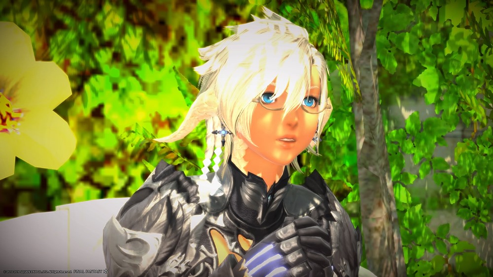 アウラ・レン 蟹角＋太眉＋緑目でフランスっぽ～なキャラメイクレシピFF14:キャラメイク図鑑