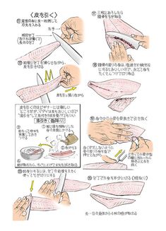 魚のおろし方全国海水養魚協会