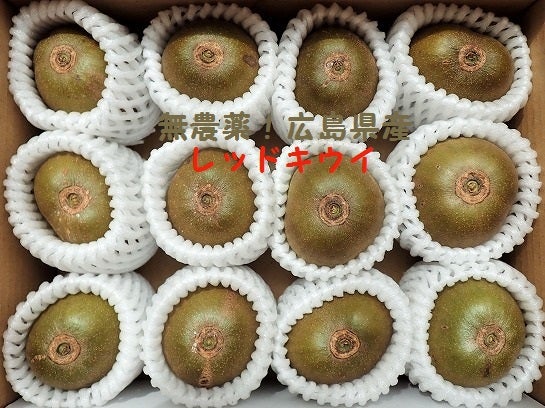 キウイの皮を1秒で全部剥く方法 だと⁉試してみたら ホントに一瞬でツルン♪だった件『あたらしい日日』こんな時代のニューノーマルな暮らし方。食と農、生活情報をお届けします