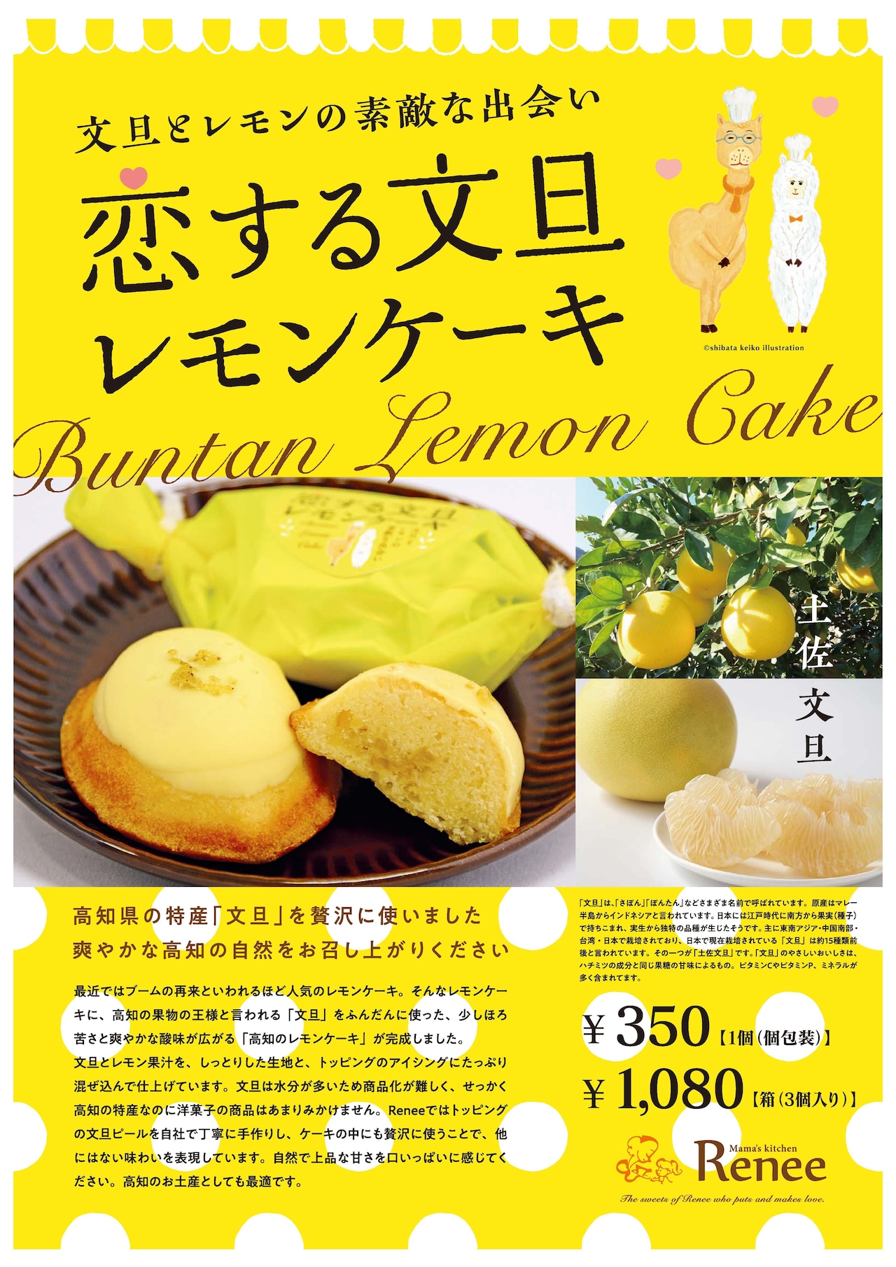 文旦のレアチーズタルト