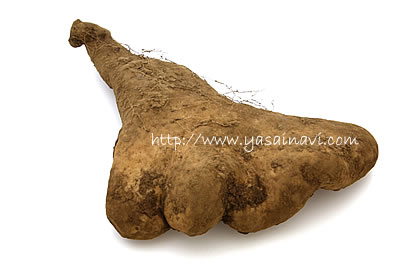 母の日、父の日、手土産プレゼントに人気！ご飯のお供に自然薯とろろもっと福岡－福岡観光・グルメ・お土産など情報サイト