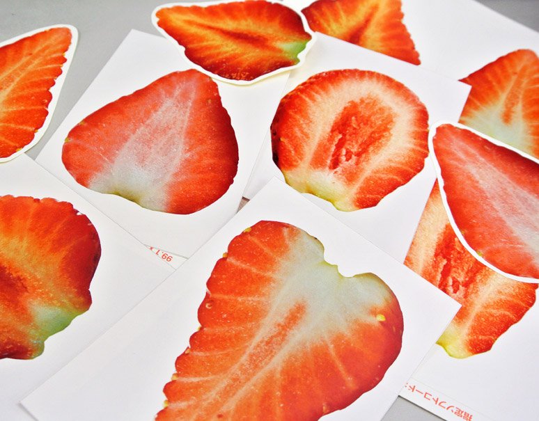 カガクノミカタ「中身を見てみる」を視聴してイチゴを切ってみた記録と感想 - horoaのじゆうちょう