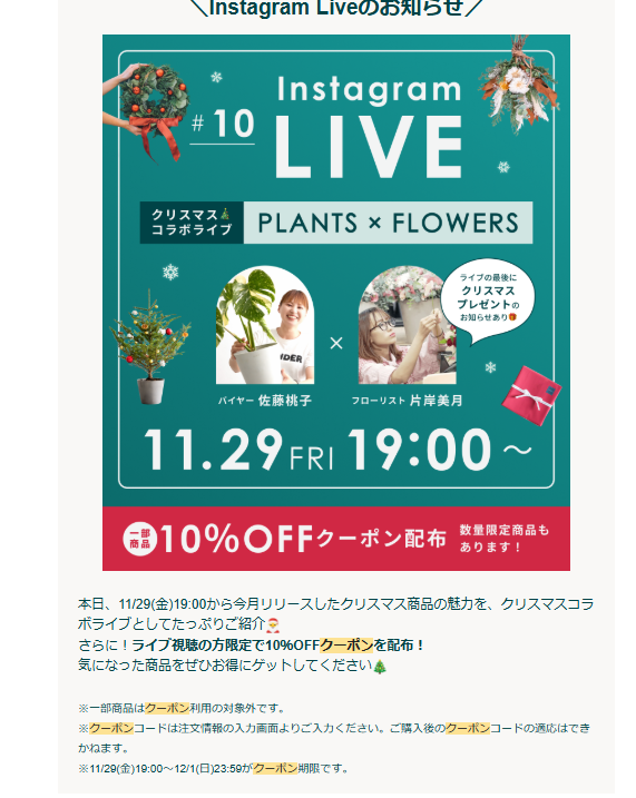 10月 ここだけ丸秘クーポン掲載 アンドプランツ AND PLANTS のクーポンコード徹底ガイド