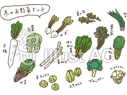 冬野菜 Winter vegetablesのイラスト素材54609723- PIXTA