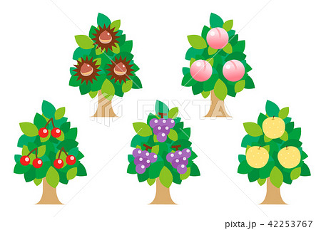 果樹研究所育成品種の果樹苗木栽培ガイド園芸ネット