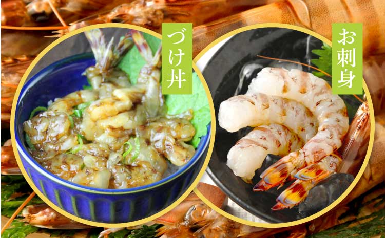 冷凍車海老１３－１５サイズ １ｋｇ 天ぷら 海老フライ おすすめ