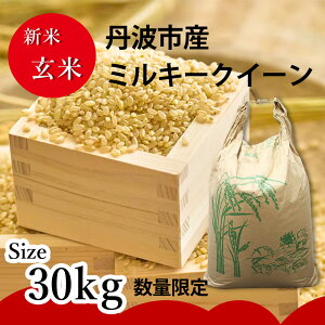 玄米と精米の違いとは？精米方法や虫が湧いた時の対処法まで解説お菓子・パン材料・ラッピングの通販 cotta＊コッタ