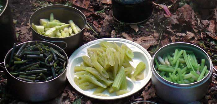 山菜ミズのお味噌汁