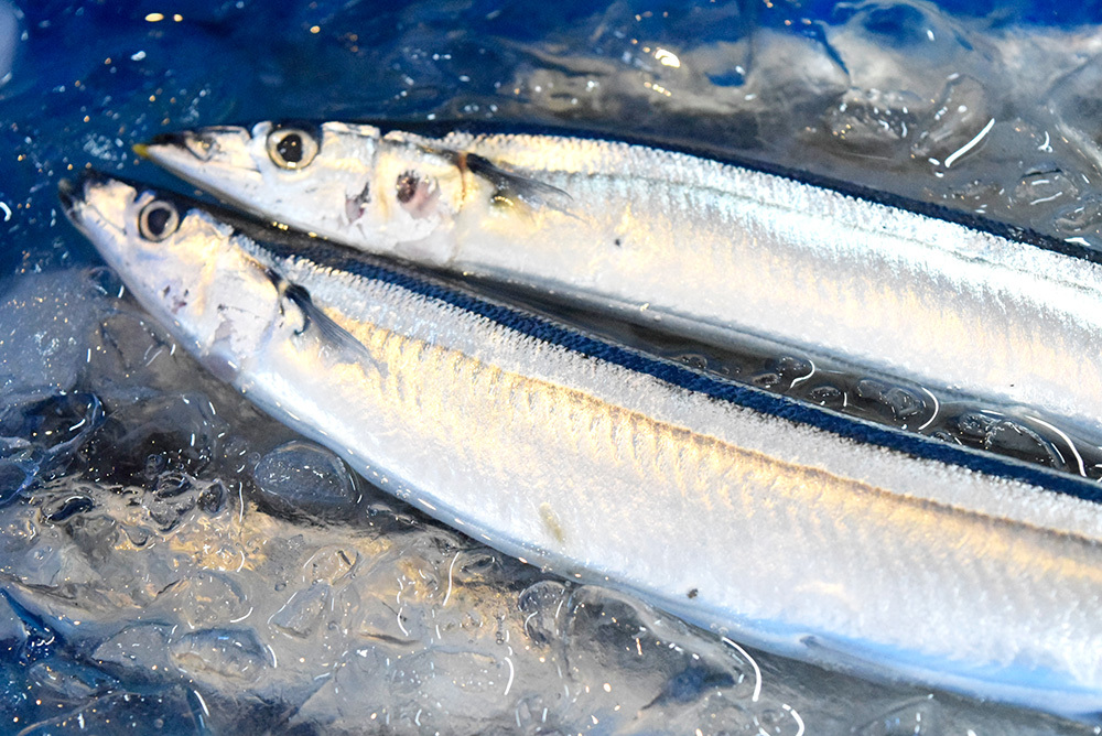 海の幸ふるまいセンター - 大船渡 日本料理食べログ