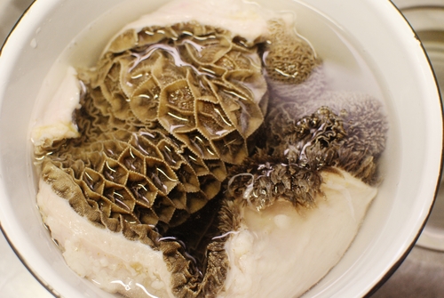 牛ハチノスとスジ肉、ひよこ豆の煮込み」