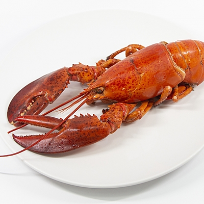 ザリガニ」は英語で〇〇だった！ザリガニの英語表記について詳しく解説 Kimini英会話