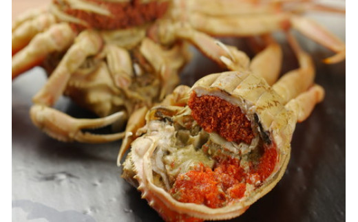 セイコガニ 外子足折れ業務用食材の仕入れなら八面六臂