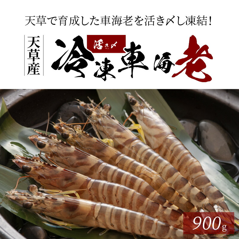 活き〆 車海老 真空パック 計 900g 新鮮 凍結 エビ 天ぷら 豊かな甘み 塩焼き 素材の味 味噌漬け エビフライ 魚介類 天草 冷凍 養殖シーフード 海産物 海鮮 海の幸 熊本県 天草市 海老の宮川 お取り寄せ お取り寄せグルメ 送料無料