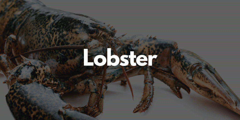 巨大外来種のザリガニを獲って食う ENG SUB