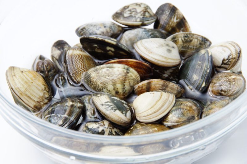 あさりの砂抜きの仕方コープのにこにこレシピコープデリ連合会