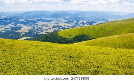 スロバキアの世界遺産・カルパチア山地のブナ原生林とドイツの古代ブナ林 – skyticket 観光ガイド