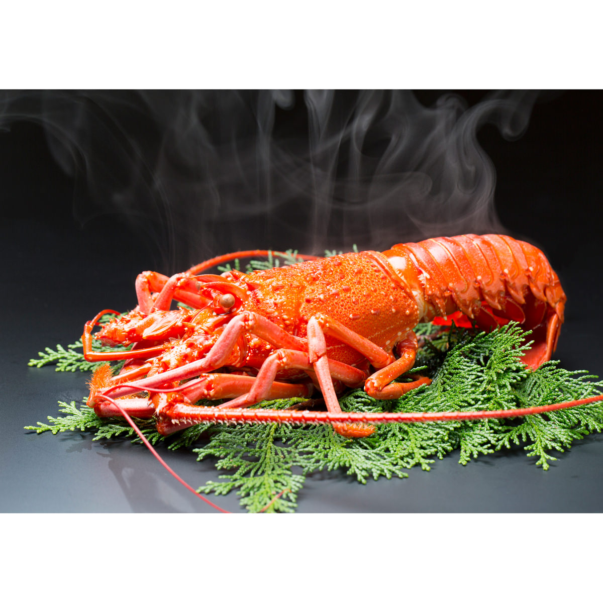 活伊勢海老🦞をボイルしたら憧れのラピュタ飯風！おめでたい色で贅沢感満載！boiled Japanese lobster