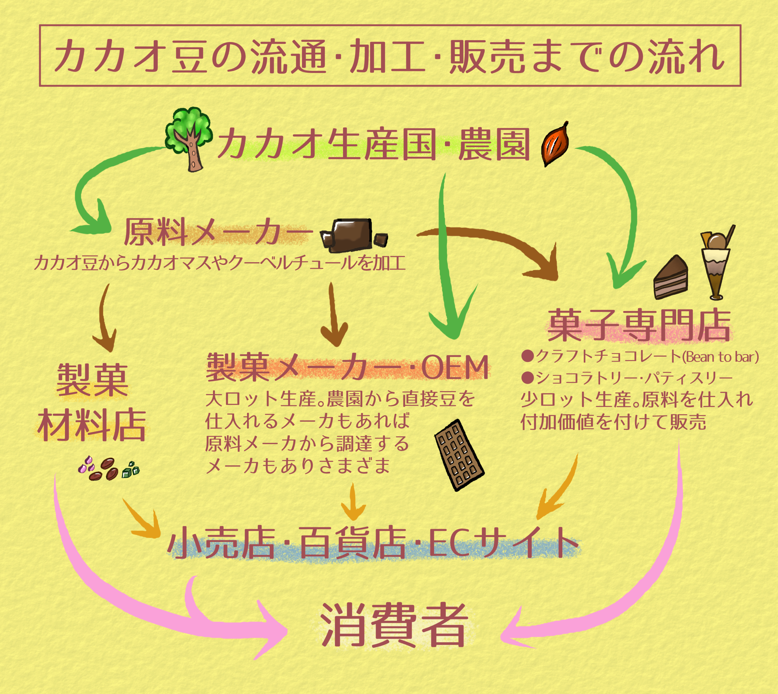 チョコの原料のカカオのお話LOVEGREEN ラブグリーン