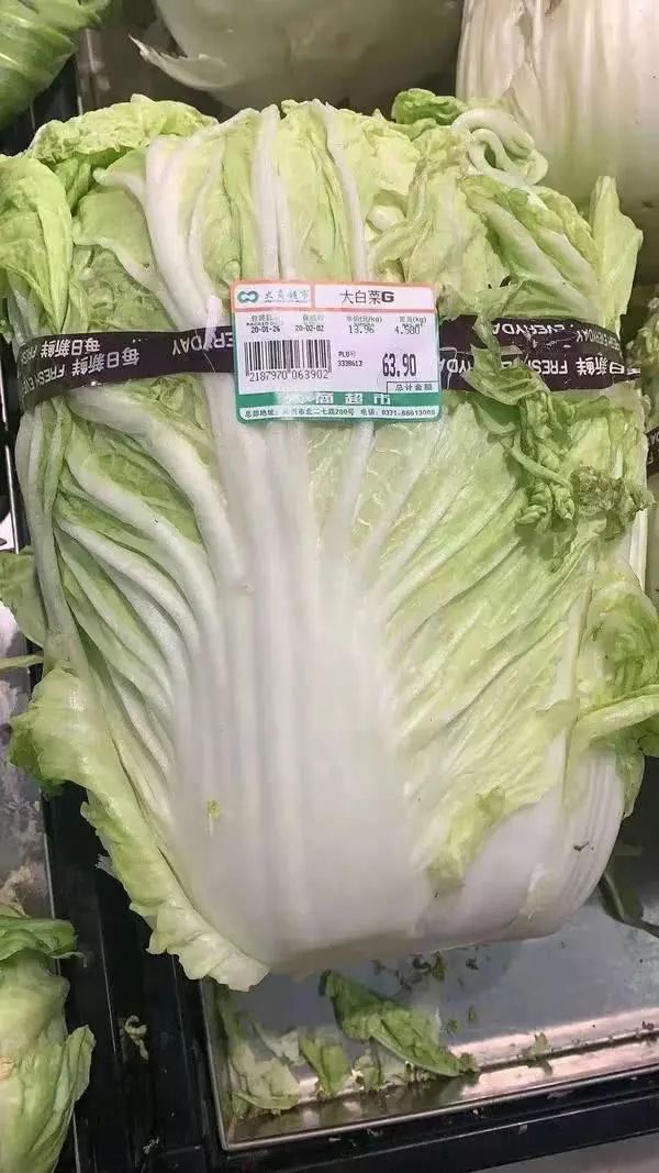 一棵大白菜大概有多少千克- 抖音