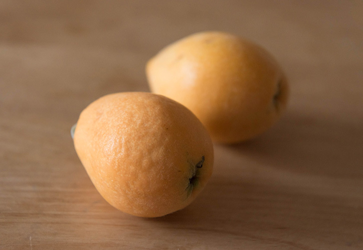 枇杷 びわ のドライフルーツの作り方自宅で簡単保存食づくり - ラボネクト株式会社-食品乾燥機や粉砕機、加工機器の販売