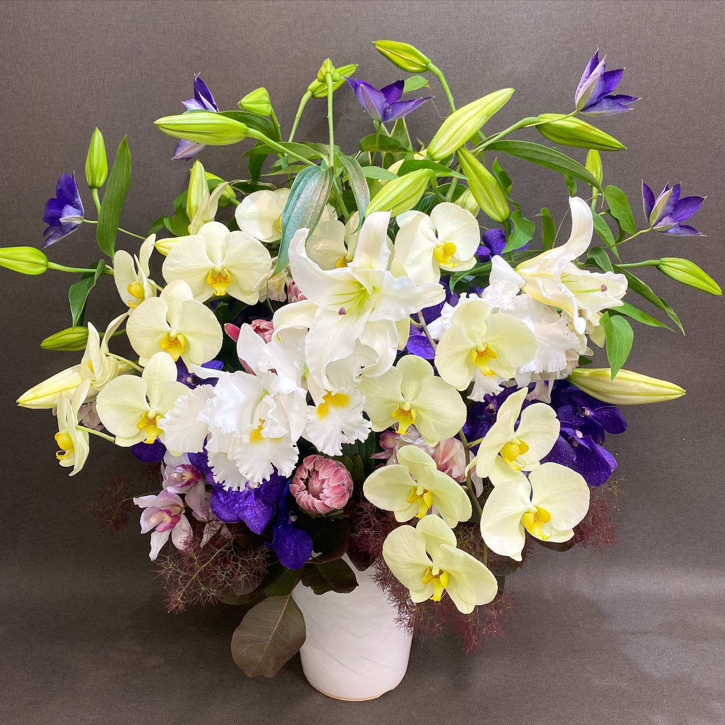 花瓶不要 胡蝶蘭入り 季節のお花アレンジメントアレンジメントのギフト通販 ブルーミーストア