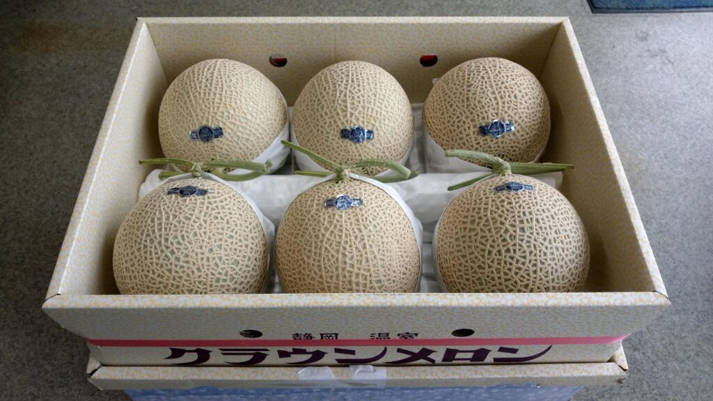 メロンの保存方法日持ちさせたいなら冷凍保存が最適解！宮古島メロン