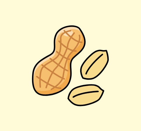 ナッツ」と「ピーナッツ」実はピーナッツはナッツではありませんナッツの情報サイト Ton's Cafe トンカフェ