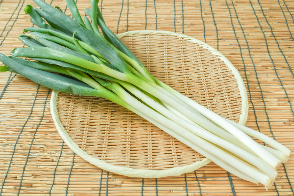 ワケギとアサツキの違いは何？-みんなの趣味の園芸