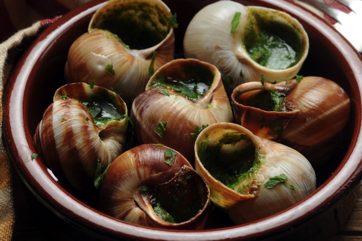 楽天市場 イタリア 食材 エスカルゴ貝類 ：魚介類・水産加工品<食品の通販