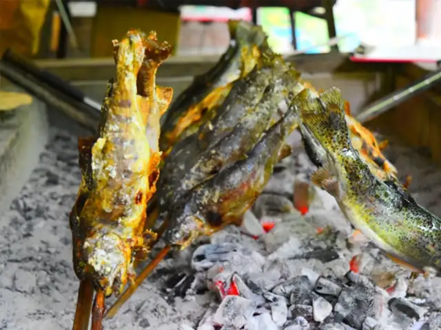 ニジマスは塩焼きが最高！フライパングリル、内臓処理、串打ち方法とは？ - Leisurego レジャーゴー