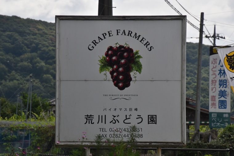 横幕 ぶどう直売所・葡萄・ブドウ : のぼり旗 グッズプロ - 通販 - Yahoo!ショッピング