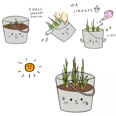 お米ができるまで 食育 バケツ稲 イネ 田んぼ 保育教材 おもちゃ・人形 花花書店 通販 16433198Creema クリーマ