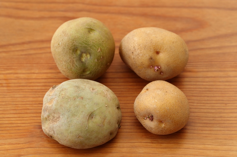 芽の出たジャガイモの料理方法と保存方法は？ OKWAVE
