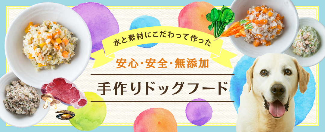 Amazon.co.jp: ココグルメ・レトルト 50g×12パック,チキン,ポーク獣医師監修 手作りドッグフード 総合栄養食 国産 無添加グレインフリー ウェットフード 常温保存 お試し 災害 備蓄 : ペット用品