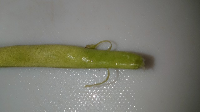 筋の取り方 いんげん 茹で方- YouTube