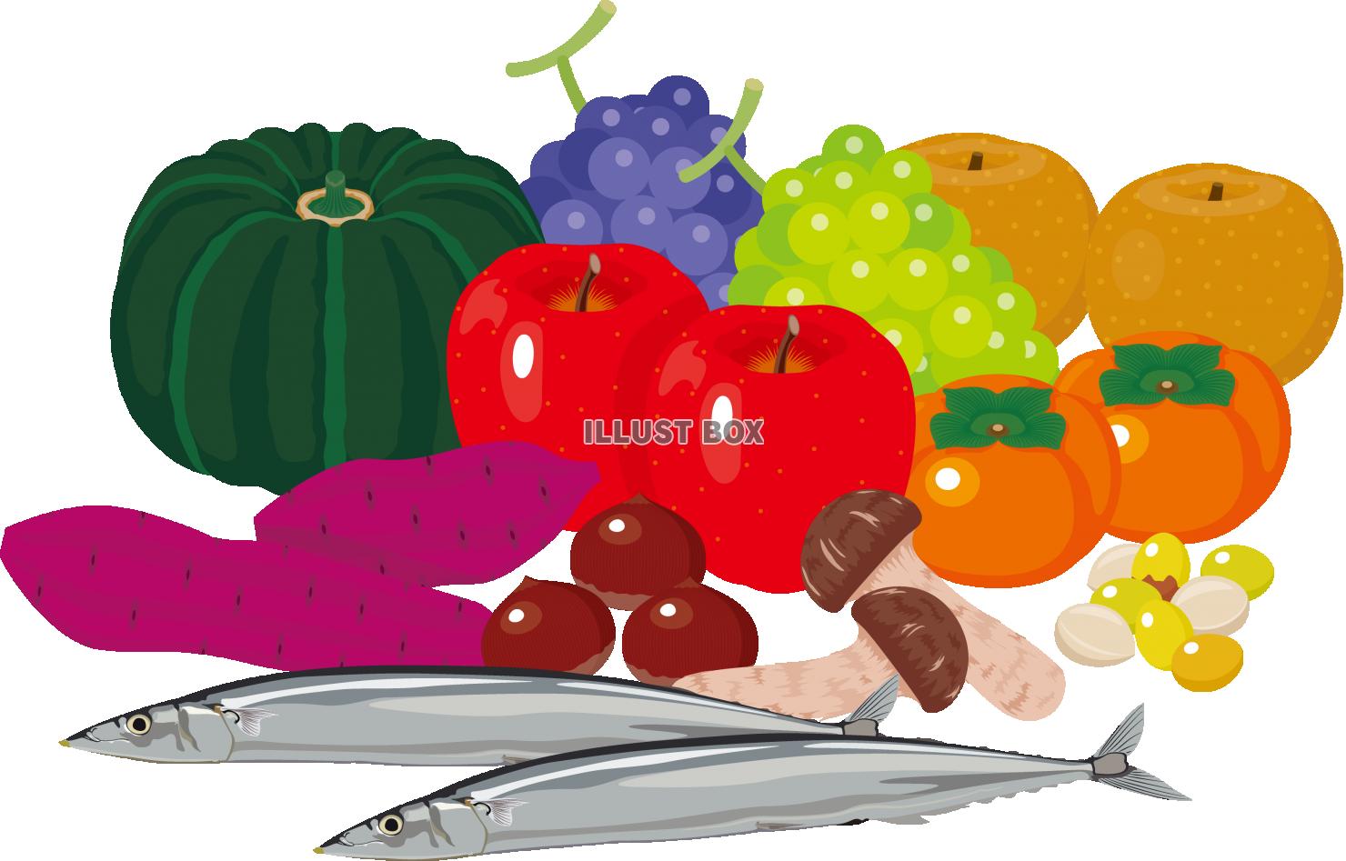 秋の季節の食べ物や飲み物のイラストPremiumベクトル素材