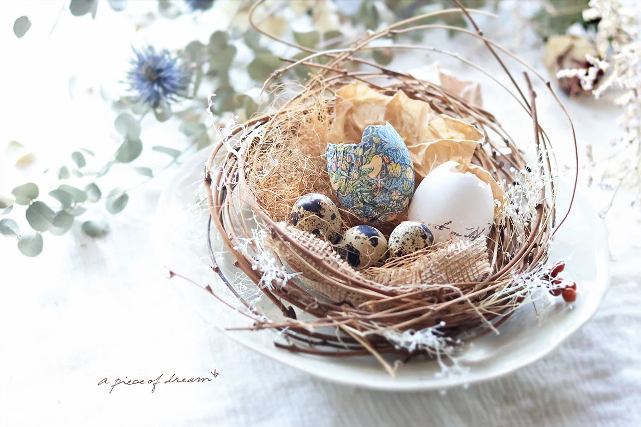 食用の鳥の巣と剛ナツメつばめの巣スープ伝統的な中華料理 - スープのストックフォトや画像を多数ご用意 - スープ, 鳥の巣, 食材 燕の巣 -iStock