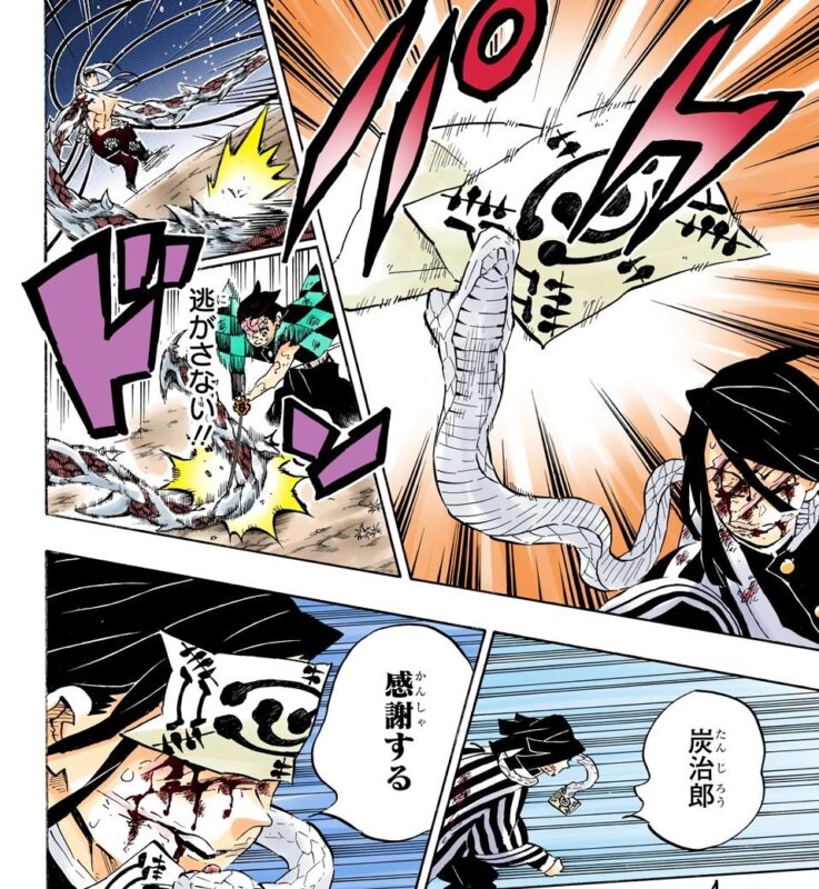 伊黒小芭内いぐろおばない と鏑丸 かぶらまる との絵を描く。模写・シャープペン画。鬼滅の刃 DEMON SLAYERIGURO &KABURAMARUdrawing