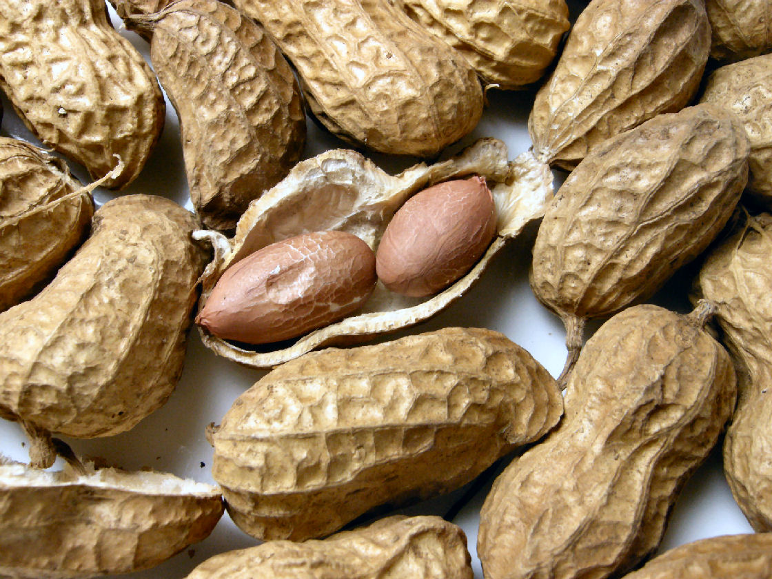 フライパンで煎り落花生