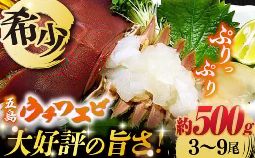 平戸特産 うちわ海老冷凍 - 平戸瀬戸市場ショッピングサイト