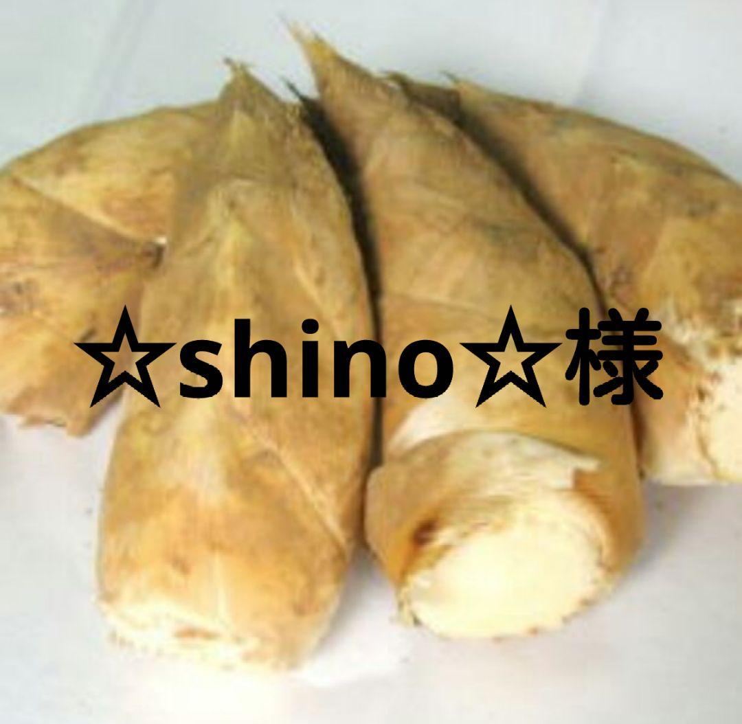 基本からアレンジまで！思わずつくりたくなる「小さい たけのこ」のレシピ集クックパッド