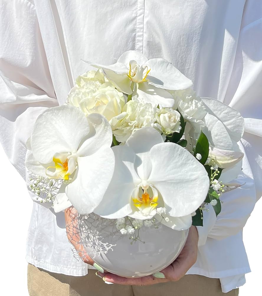 フラワーアレンジメント 生花風 胡蝶蘭 父の日 超リアル！ 5輪花 水やり不要 室内 盆栽 造花 インテリア 母の日 観葉植物 エコ コチョウランギフト フェイクグリーン おしゃれ 供花 敬老の日conne599555 - メルカリ